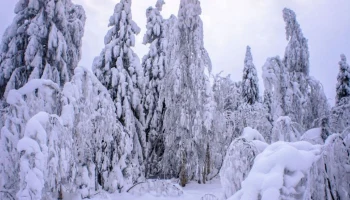 ТРЕВОГА! На Россию надвигается III Ледниковый период, заявили синоптики